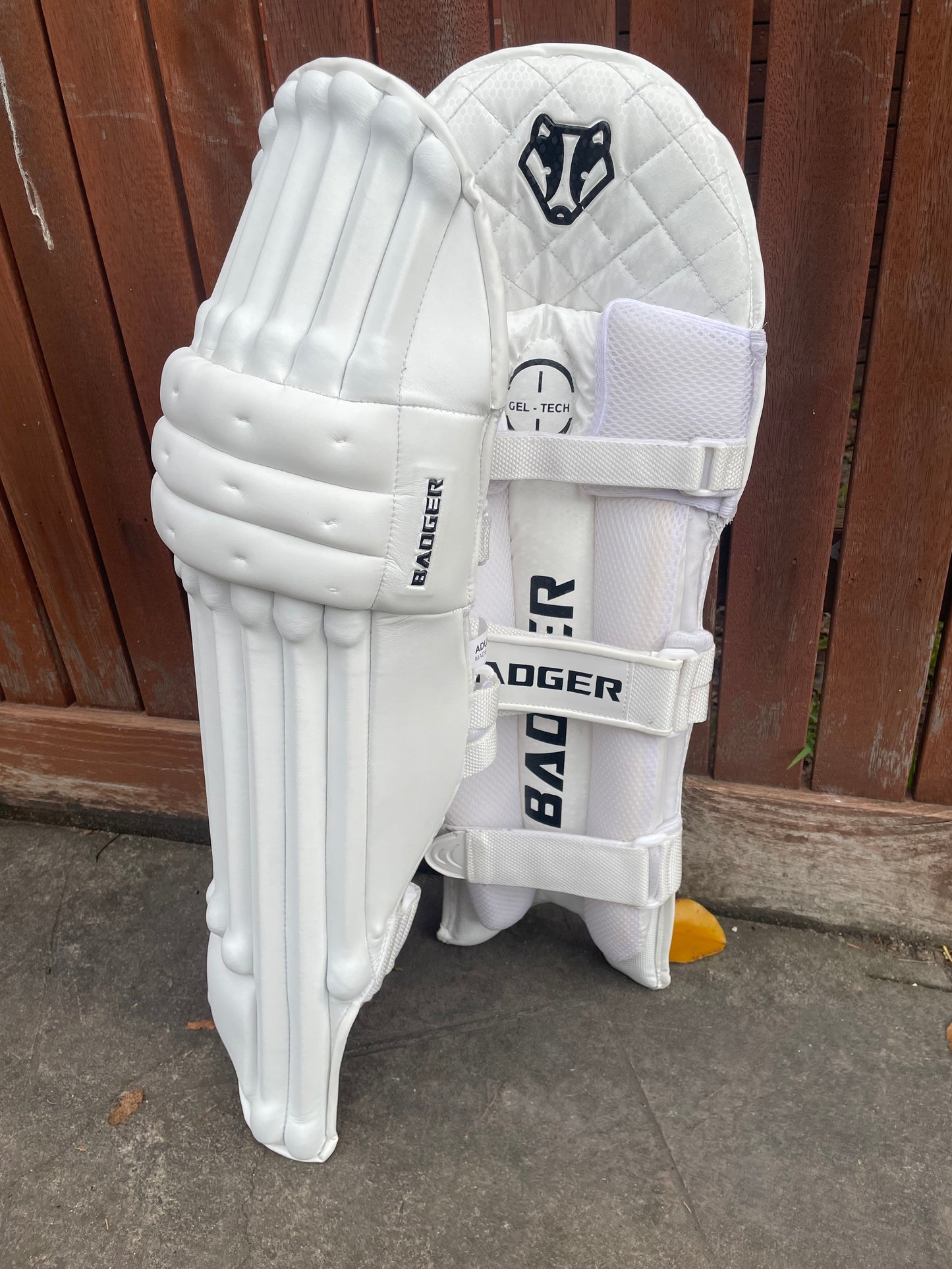 Players Batting Pads