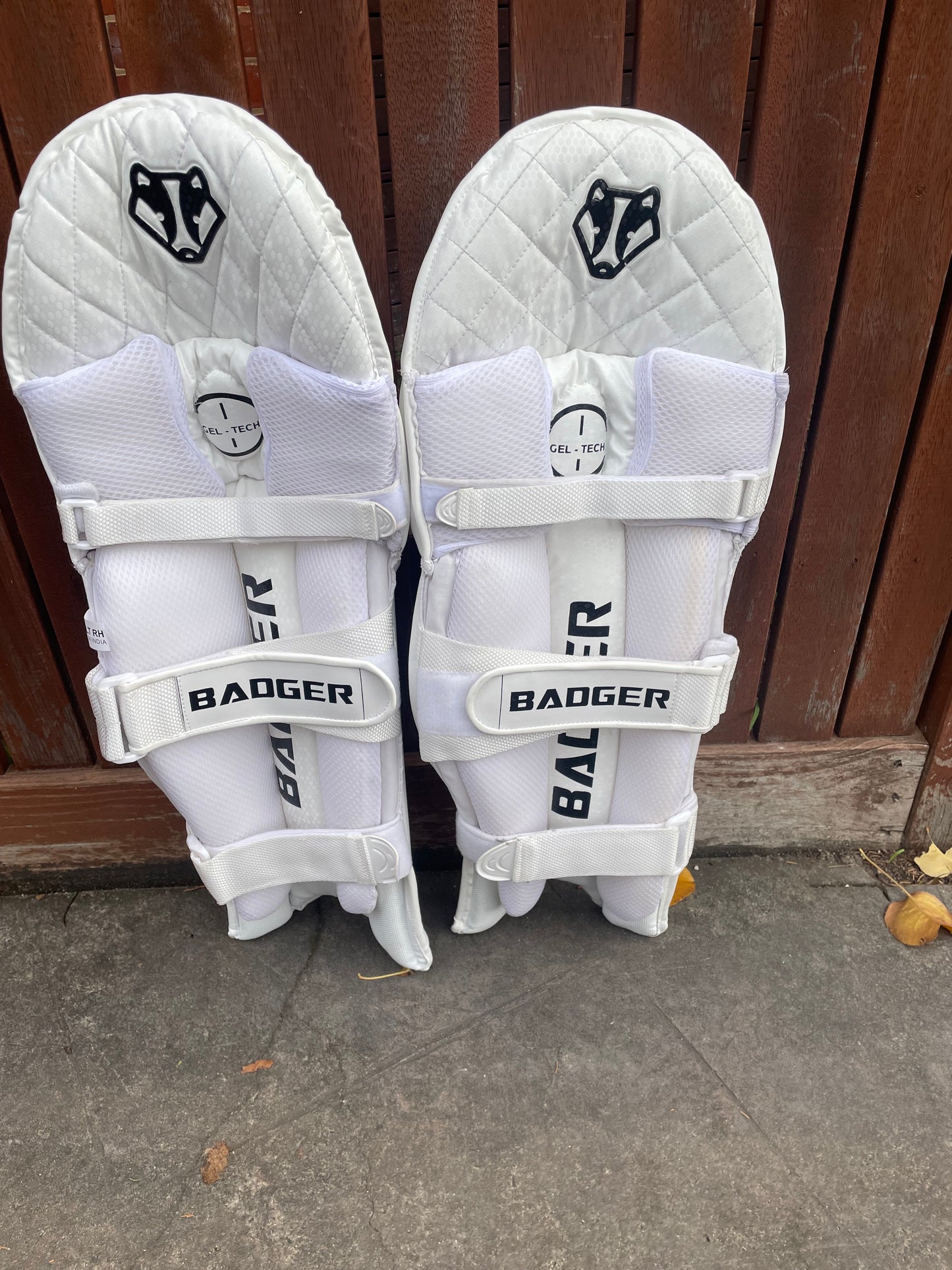 Players Batting Pads