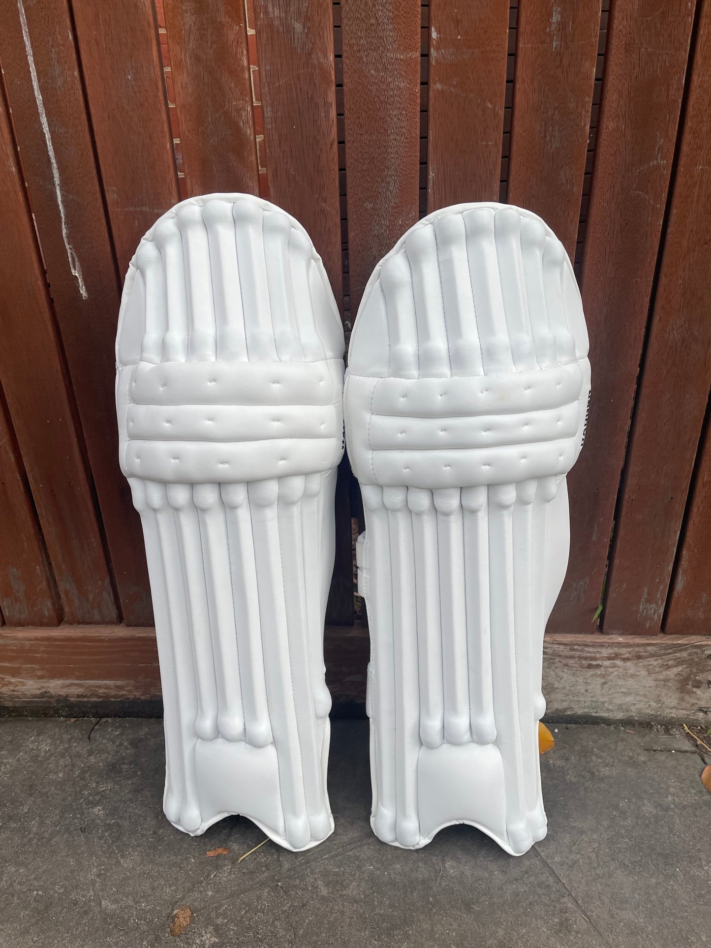 Players Batting Pads