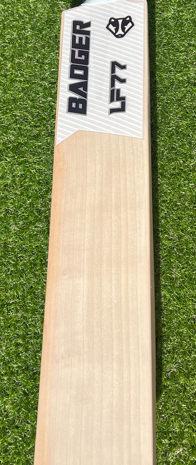 Pro Players Cricket Bat